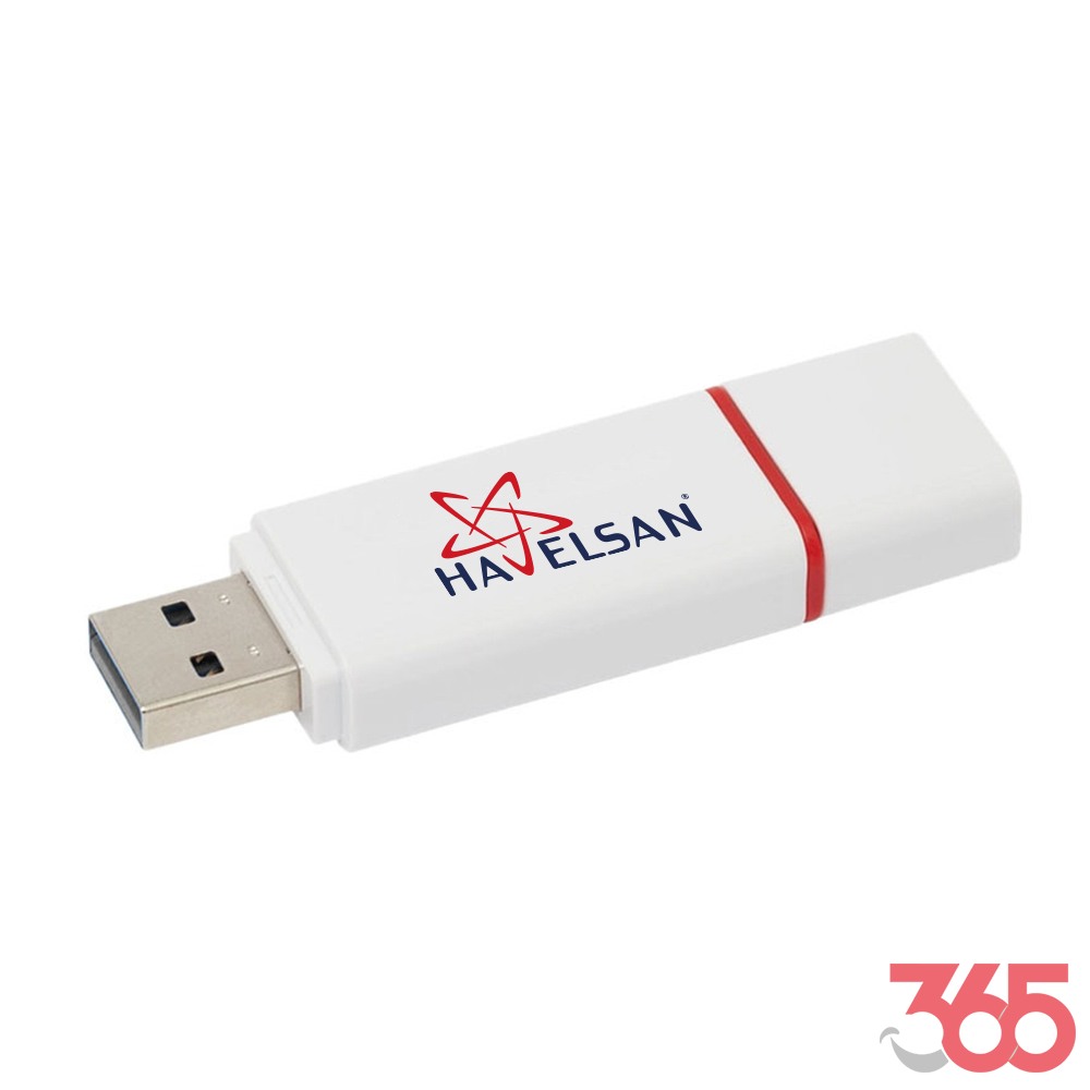 MENGÜCEKLİLER PLASTİK USB BELLEK (16 GB)